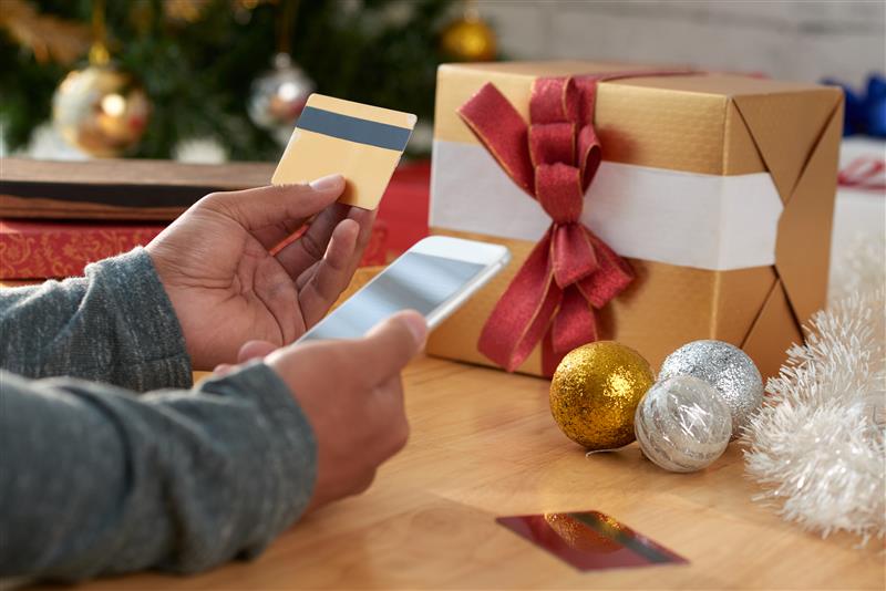 Secure payment systems for eCommerce ensuring a safe Christmas shopping experience